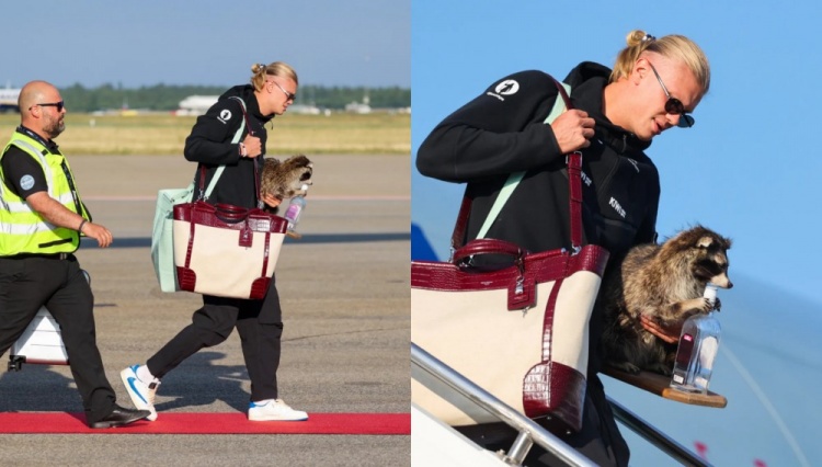 哈兰德携“威士忌浣熊”回国，售价560英镑引热议